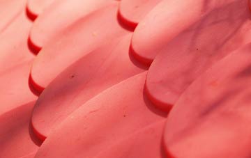 Gastard plastic roof costs