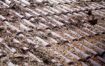 Gastard roof cleaning companies